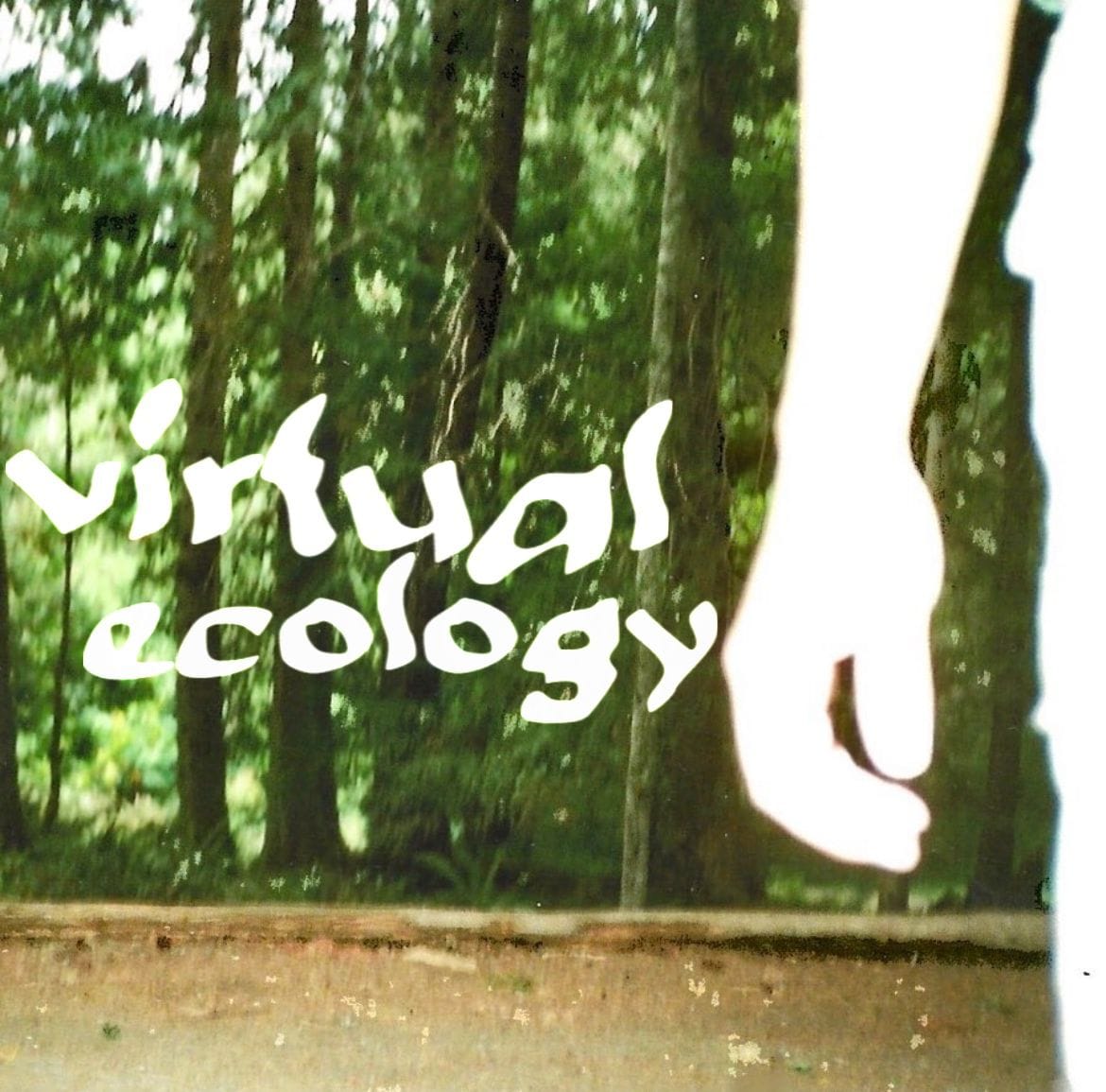 Virtual Ecology